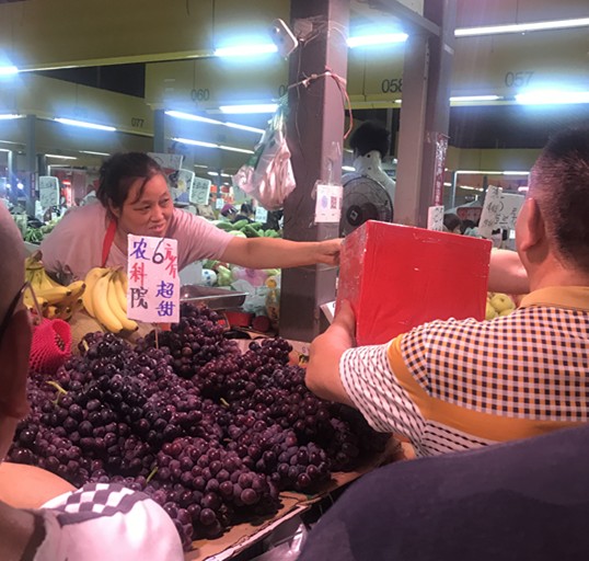 云顶国际vip8866官网